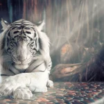 Escape From a Tiger Dream: What It Means & How To Interpret It