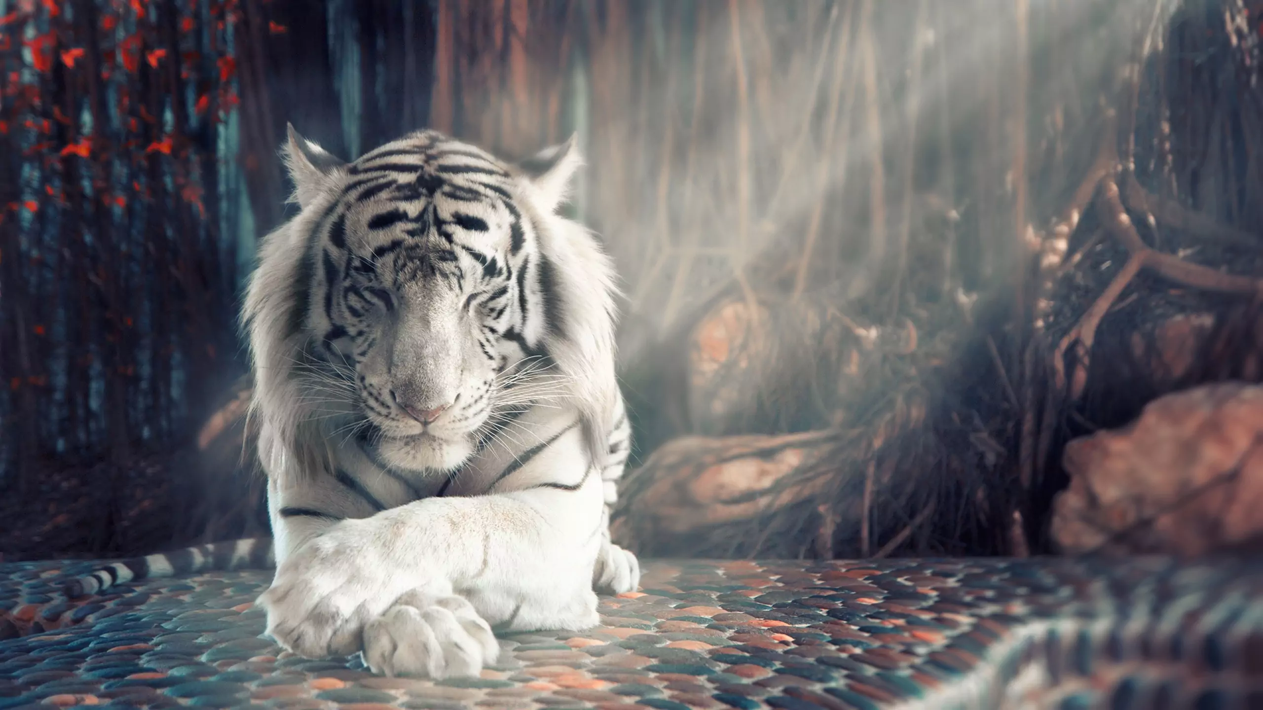 Escape From a Tiger Dream: What It Means & How To Interpret It
