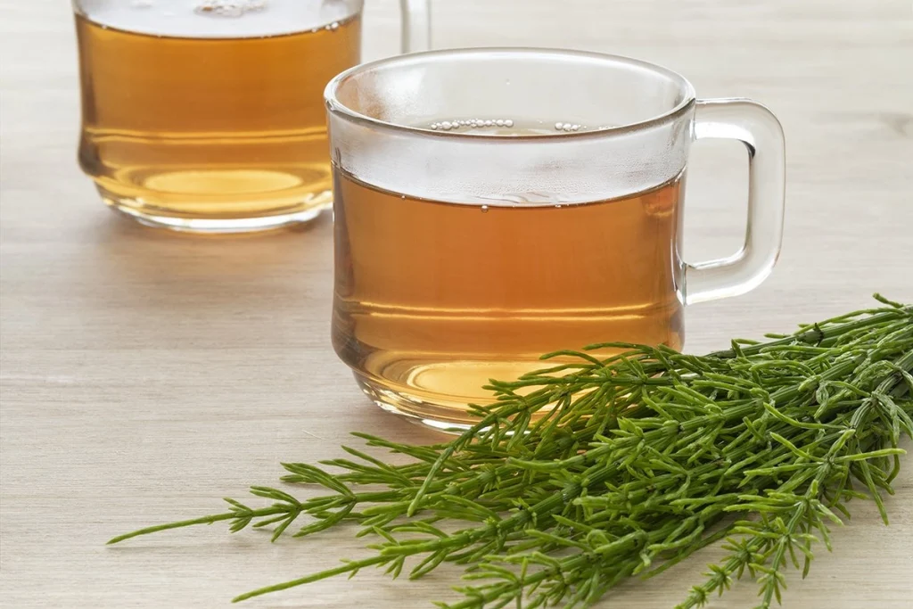 Unlocking the Potential: Weight Management with Horsetail Tea