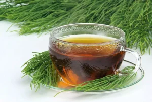 Drinking Horsetail Tea for Hair Growth