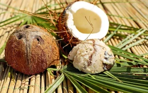Dream of Coconut Meaning and Interpretations