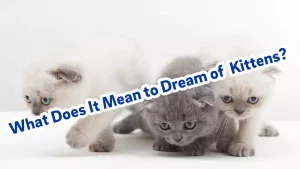 What Does It Mean to Dream of Kittens?